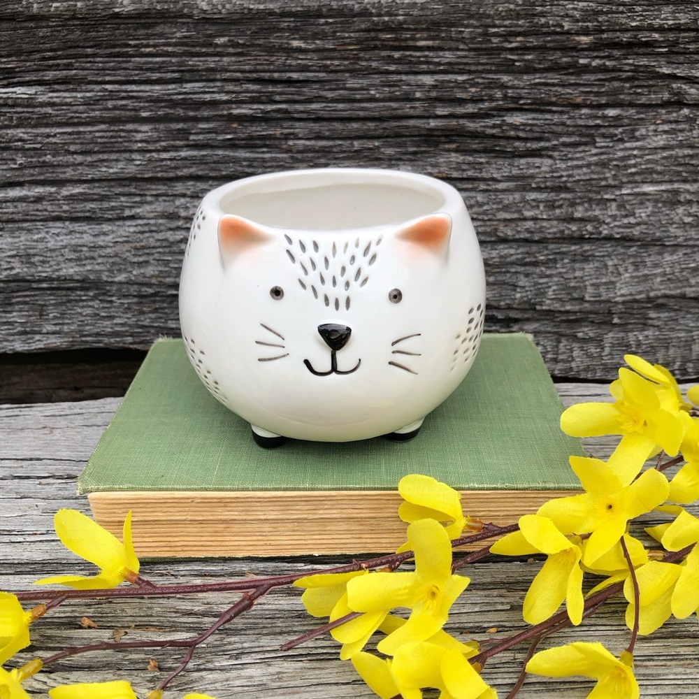 Cute Cat Ceramic Planter succulent house plant bowl footed white Kitty catch all